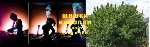 apvp Осинники