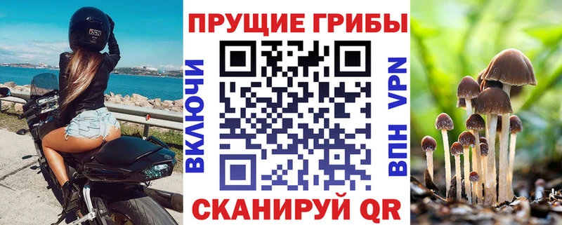 Псилоцибиновые грибы ЛСД  blacksprut ONION  Невельск  даркнет сайт 